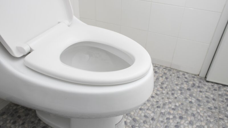 便がどれくらい出ないと便秘と言いますか？