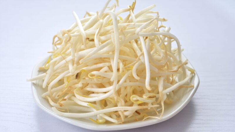 【保存版】もやしが便秘に効くのは食物繊維が多く含まれているから？