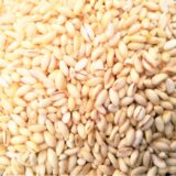 【保存版】もち麦は便秘解消に効果があるって本当？