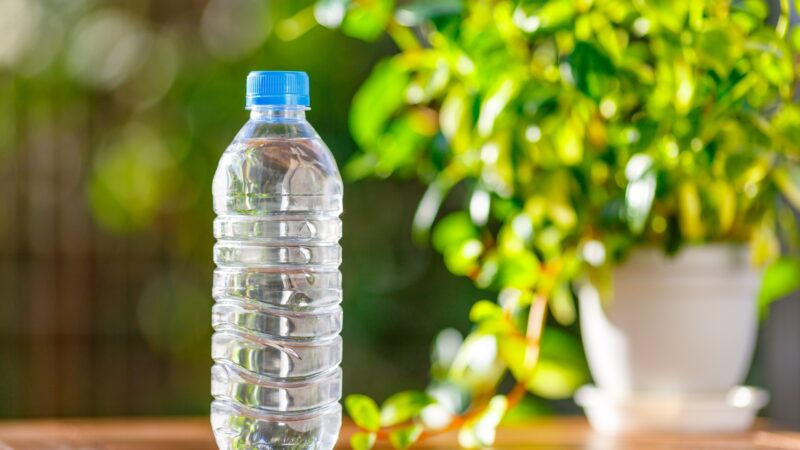 小動物にウォーターサーバーを与えることで影響は？