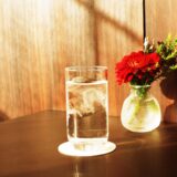 犬が安全に飲めるウォーターサーバーのお水とは？