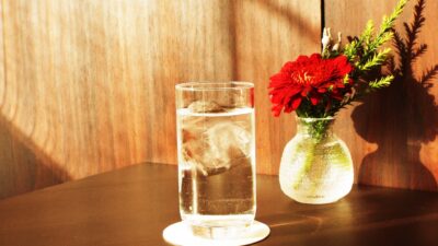 犬が安全に飲めるウォーターサーバーのお水とは？