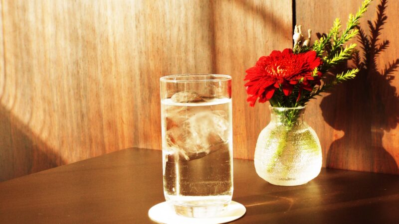 犬が安全に飲めるウォーターサーバーのお水とは？