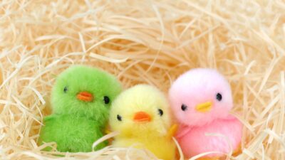 1歳の子供が水分不足すると、どんな症状が起きるの？