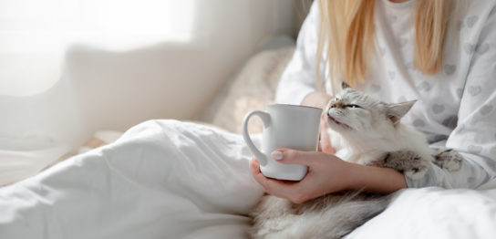 生理前や生理中の水分ダイエットって効果あるの？