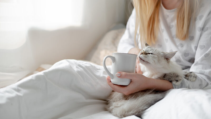 【保存版】生理前でも「水分ダイエット」って効果あるの？