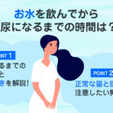 【保存版】お水を飲んだらどれくらいで尿になる？