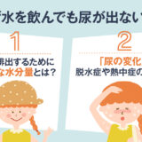 【保存版】水を飲んでも尿が出ないのはなぜ？