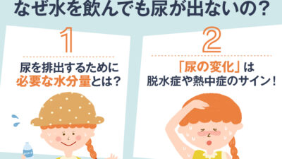 【保存版】水を飲んでも尿が出ないのはなぜ？
