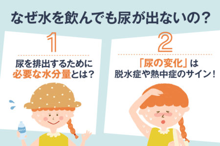 水を飲んでも尿が出来ない時のポイントを説明する画像
