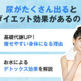 【保存版】尿をたくさん出す効果とは？ダイエット効果はある？
