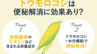 【保存版】とうもろこしの食物繊維は便秘解消に効果的なの？
