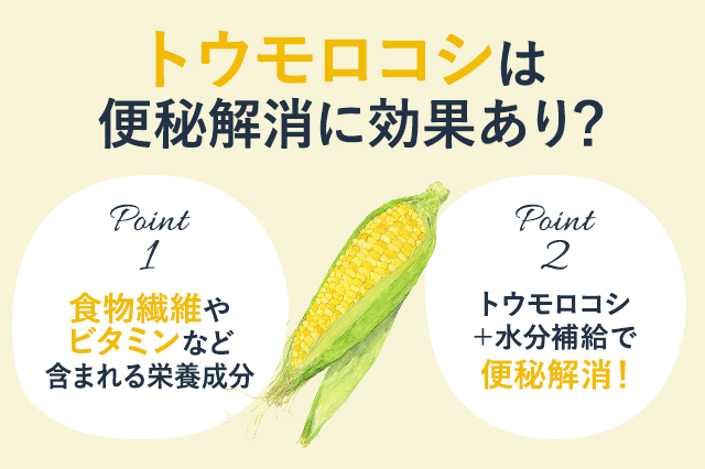 【保存版】とうもろこしの食物繊維は便秘解消に効果的なの？