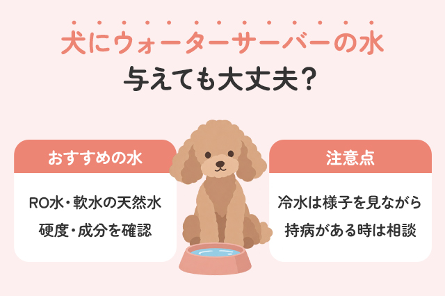 犬にウォーターサーバーの水は大丈夫？水の種類や注意点を解説