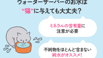 ウォーターサーバーのお水は猫にあげてもよい？