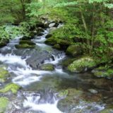 【保存版】鉱水とは？硬水や軟水との違いとそれぞれのメリット