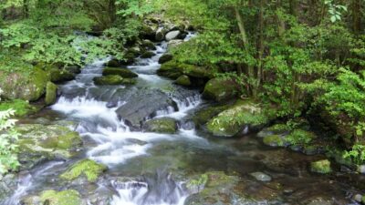 【保存版】鉱水とは？硬水や軟水との違いとそれぞれのメリット
