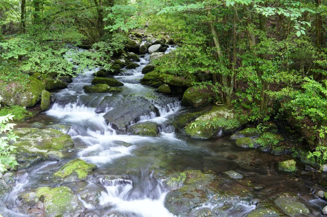 【保存版】鉱水とは？硬水や軟水との違いとそれぞれのメリット