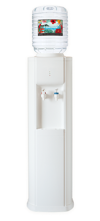 スタンダードサーバー