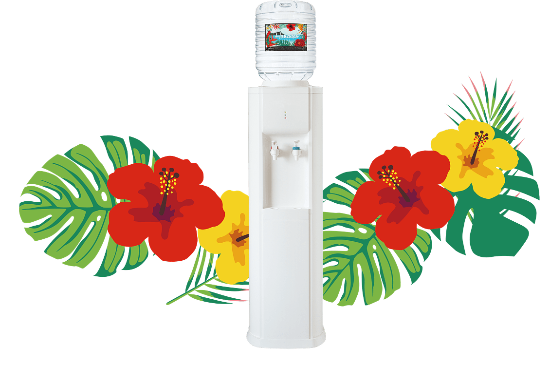 ピュアハワイアンスタンダードサーバー